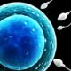 What Causes Low Sperm Count? And What Can I Do About It?